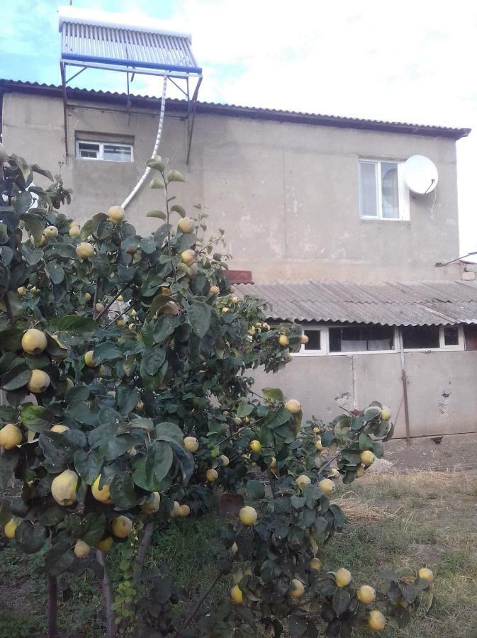 Udabno Naili Hotel Esterno foto